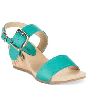 Tropical Teal