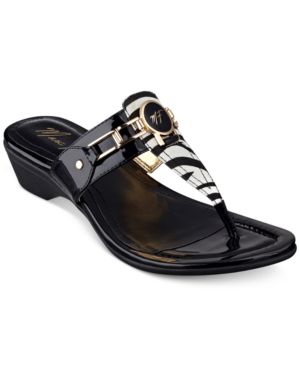 Black Zebra