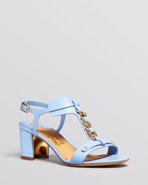 Fleur Bleu